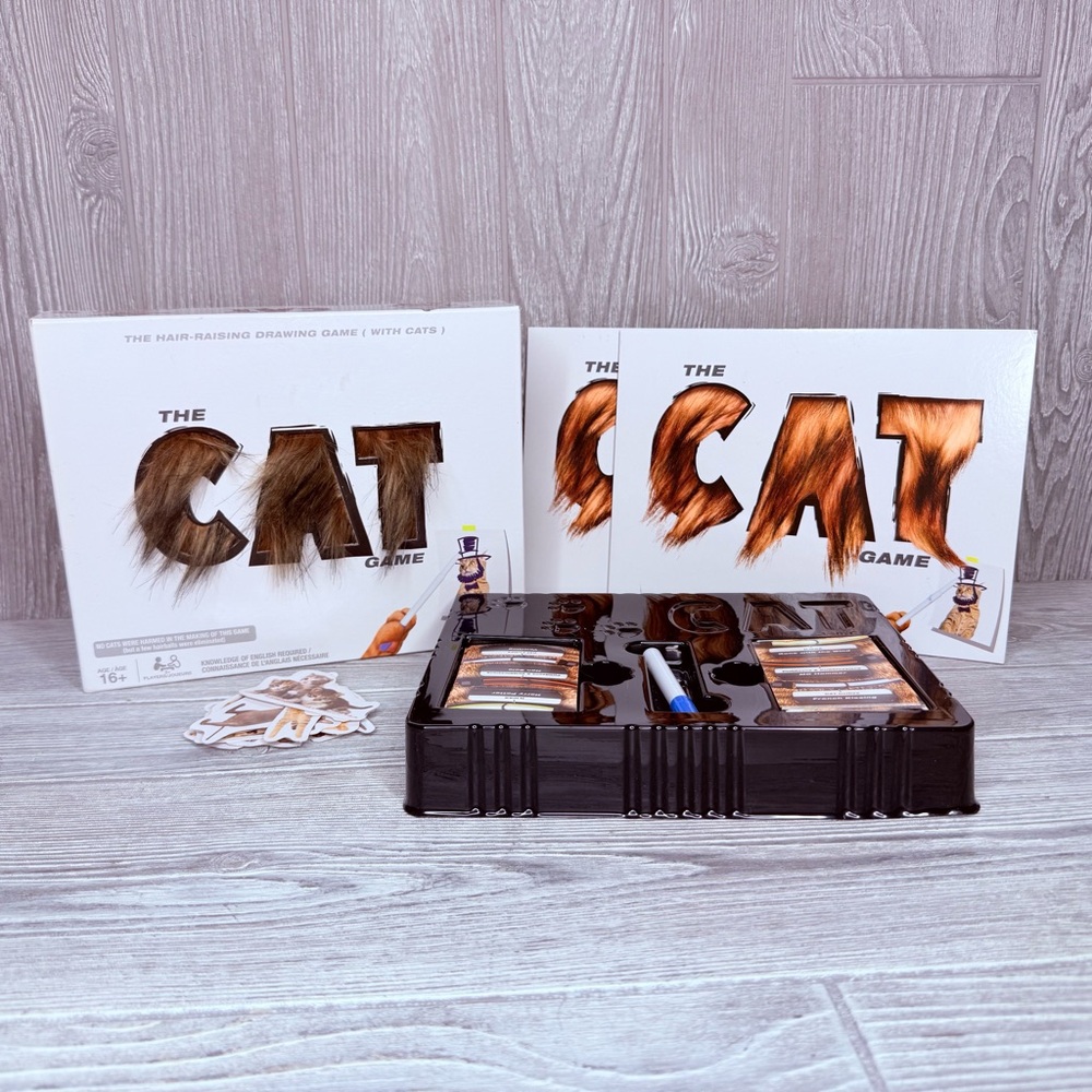 Spin Master The Cat Game Drawing Card Game family game night